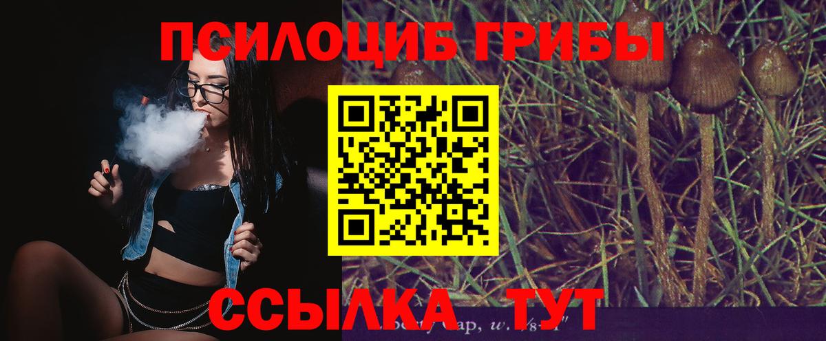 Галлюциногенные грибы мицелий  Вход с VPN  Белогорск 