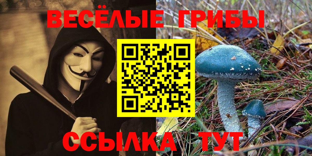 Галлюциногенные грибы прущие грибы Белогорск